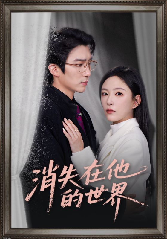 消失在他的世界 海报