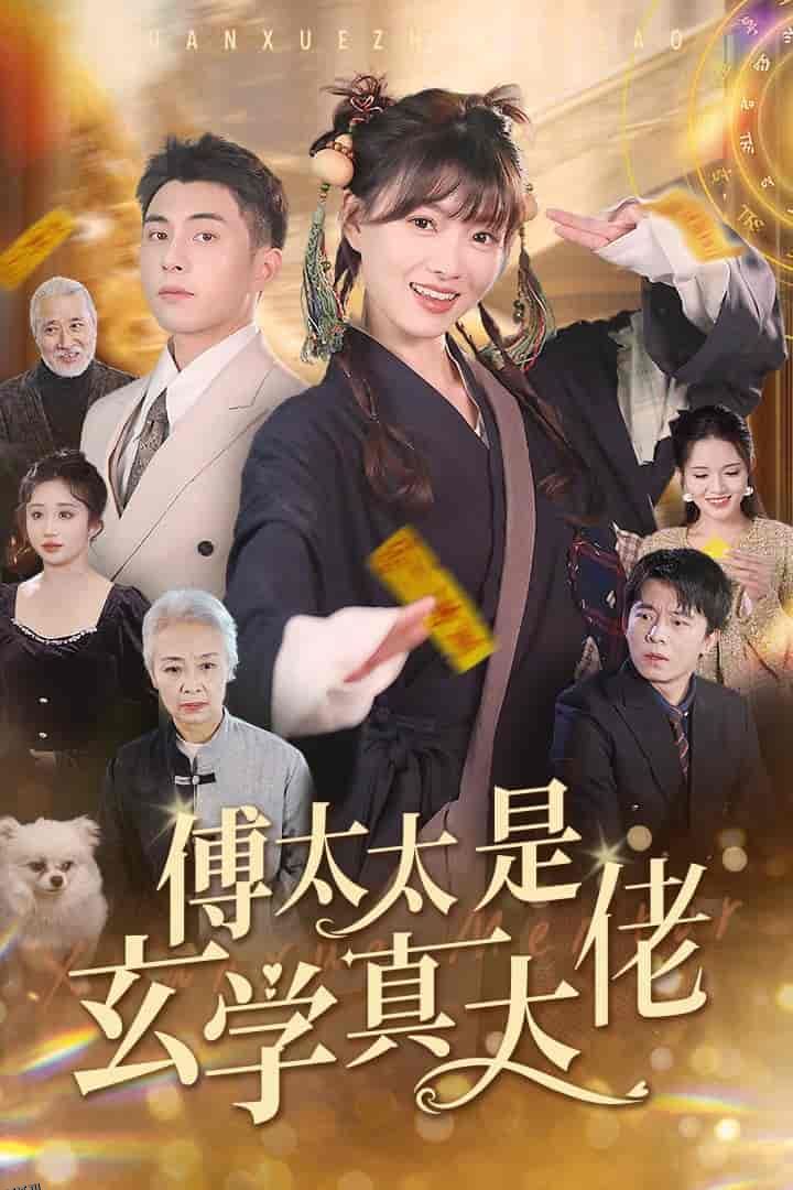 傅太太是玄学真大佬 海报