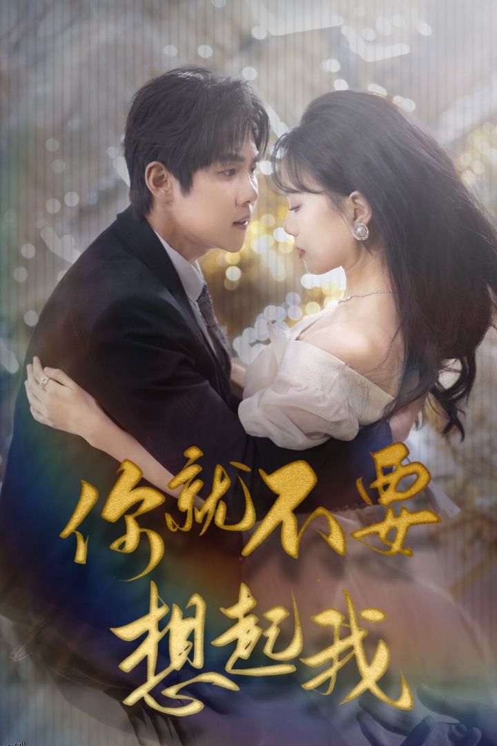 你就不要想起我 海报