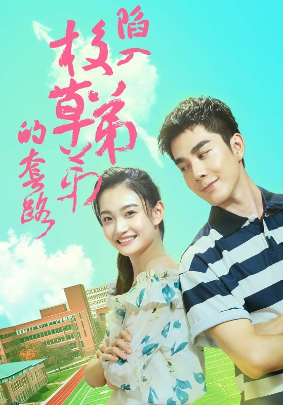 陷入校草弟弟的套路 海报