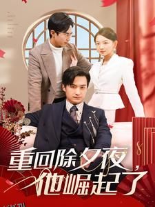 重回除夕夜他崛起了 海报