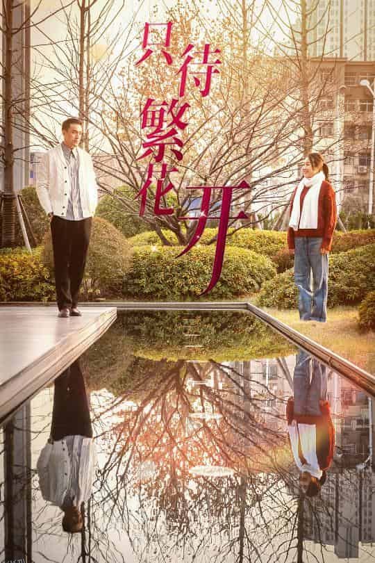 只待繁花开 海报