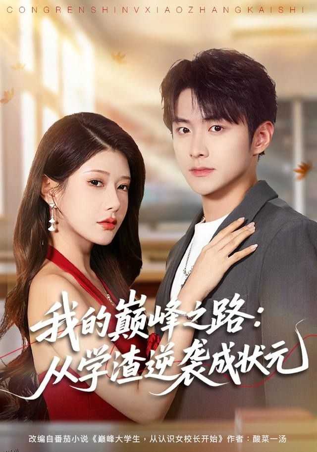 我的巅峰之路：从学渣逆袭成状元 海报