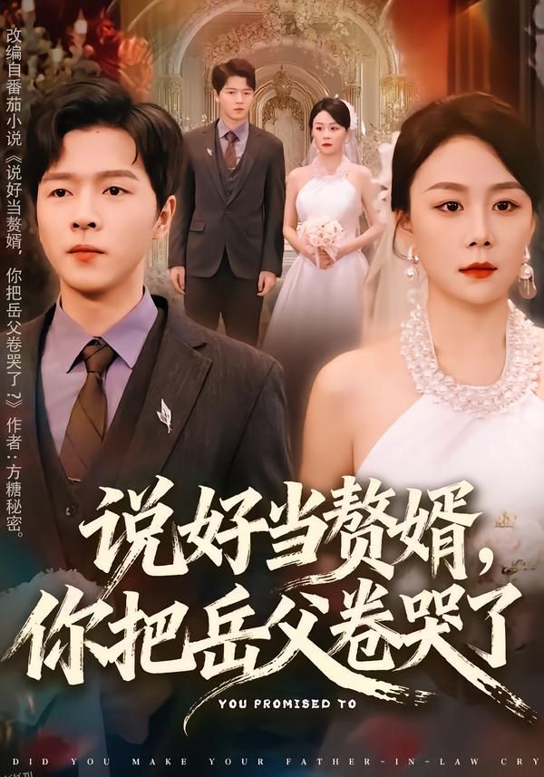 说好当赘婿，你把岳父卷哭了 海报