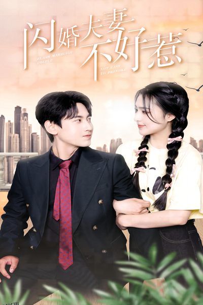 闪婚夫妻不好惹 海报