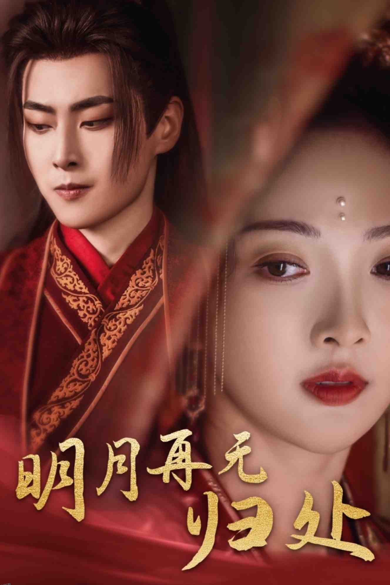 明月再无归处 海报