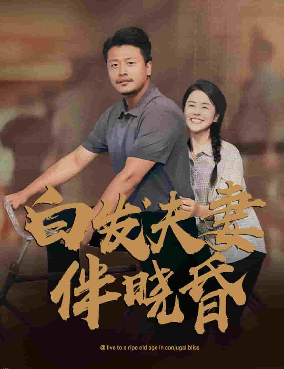 白发夫妻傍晓昏 海报