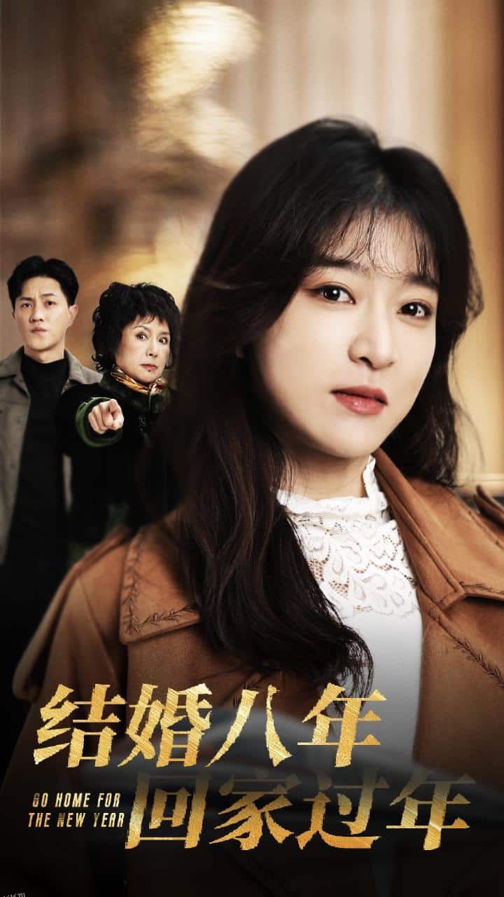 结婚八年回家过年 海报