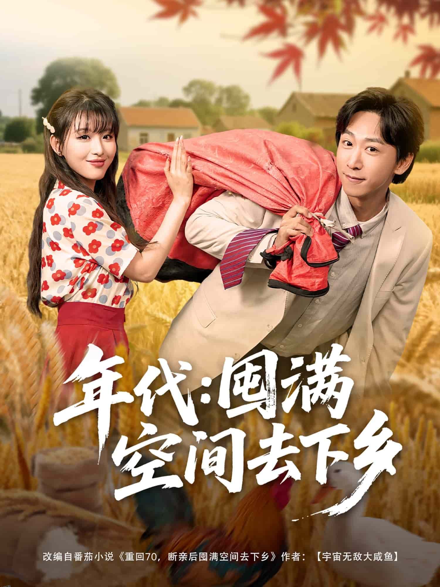 年代囤满空间去下乡 海报