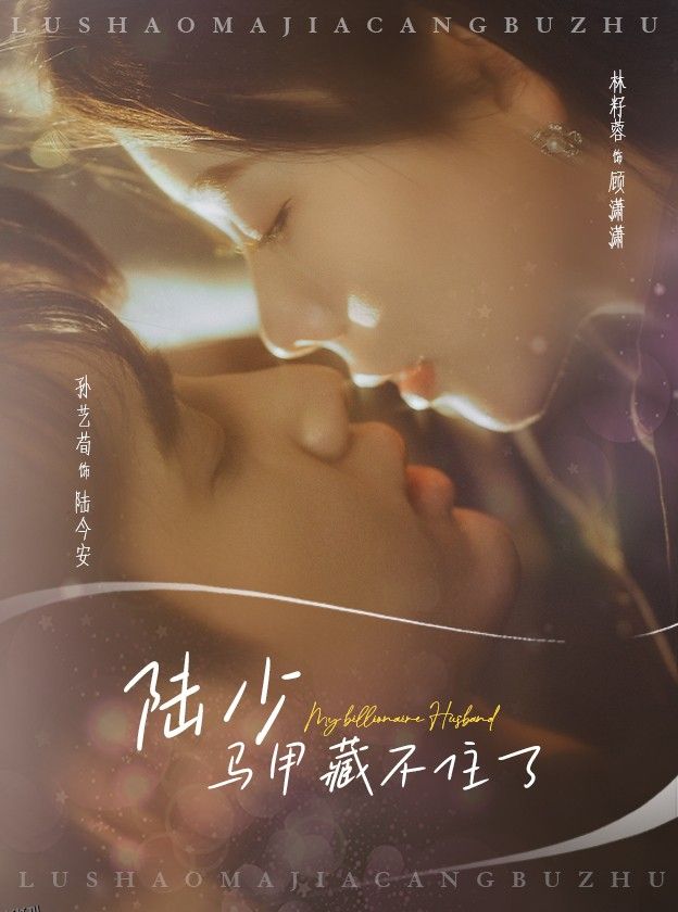 陆少马甲藏不住了 高清海报