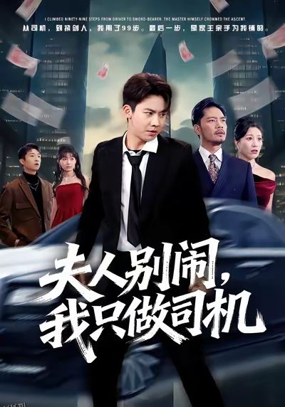 夫人别闹我只做司机 海报