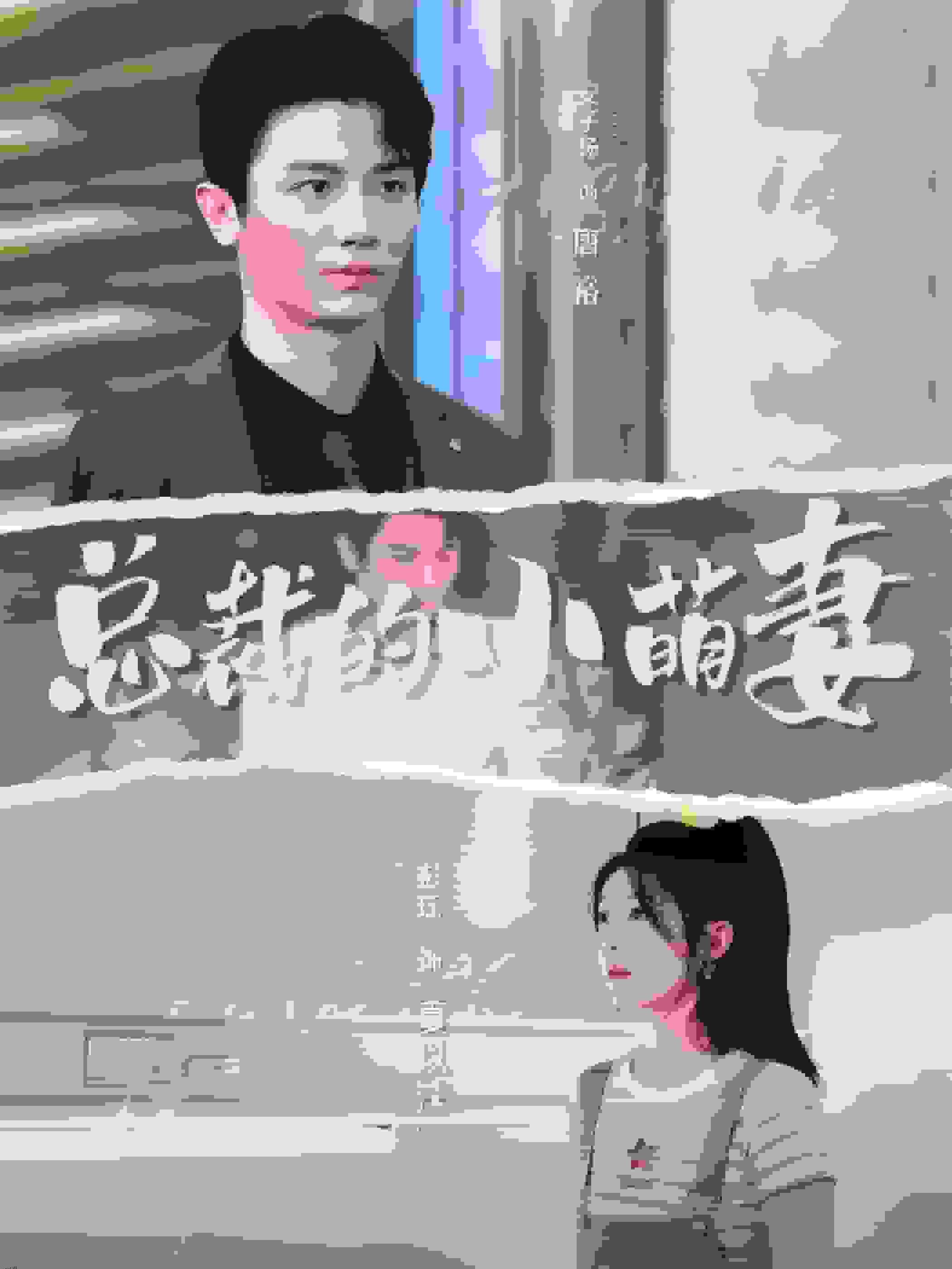 总裁的小萌妻 海报