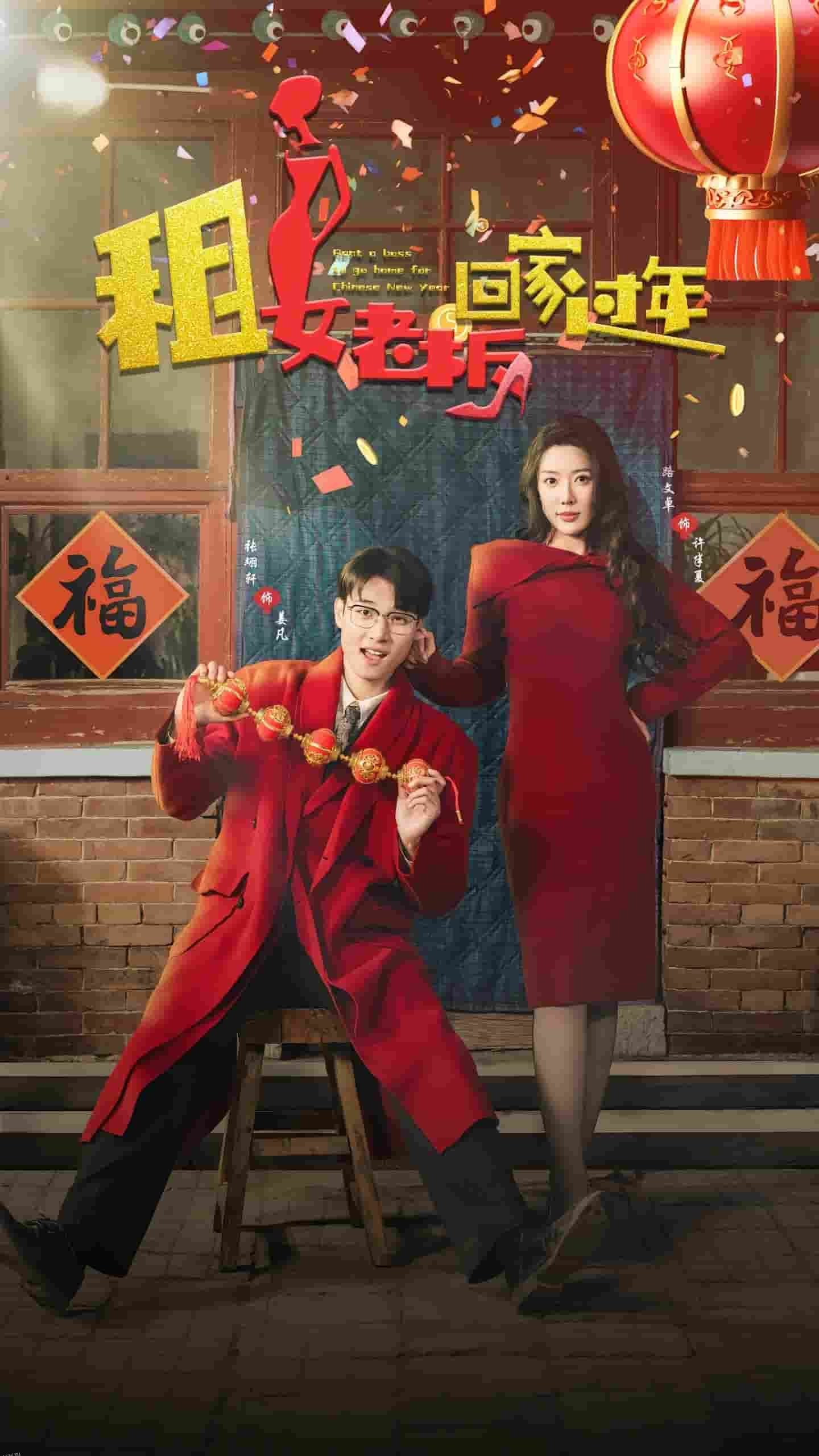 租女老板回家过年 海报