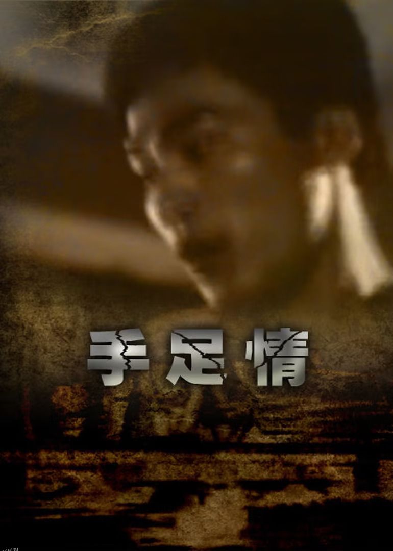 手足情1988 海报