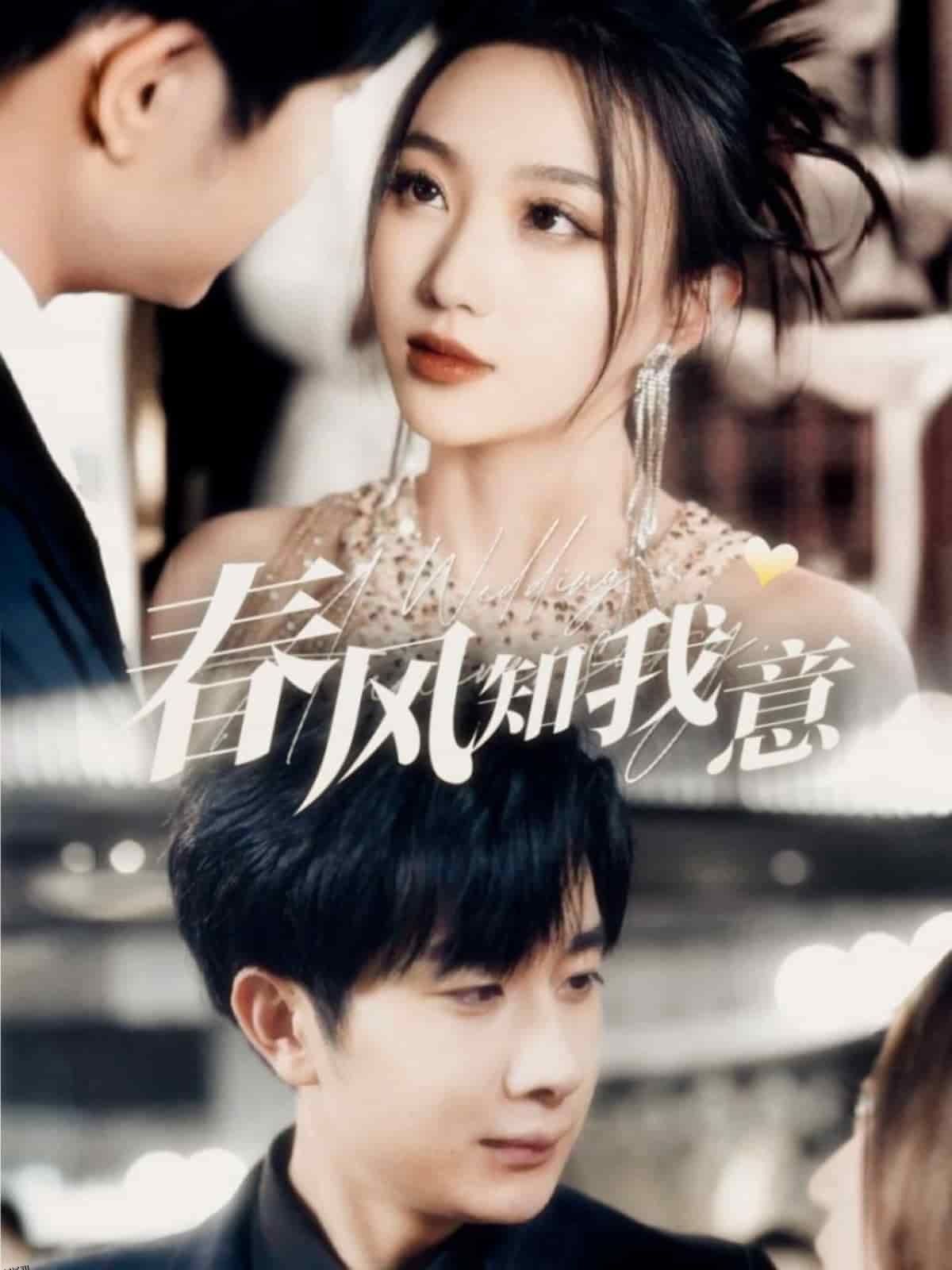 春风知我意 海报