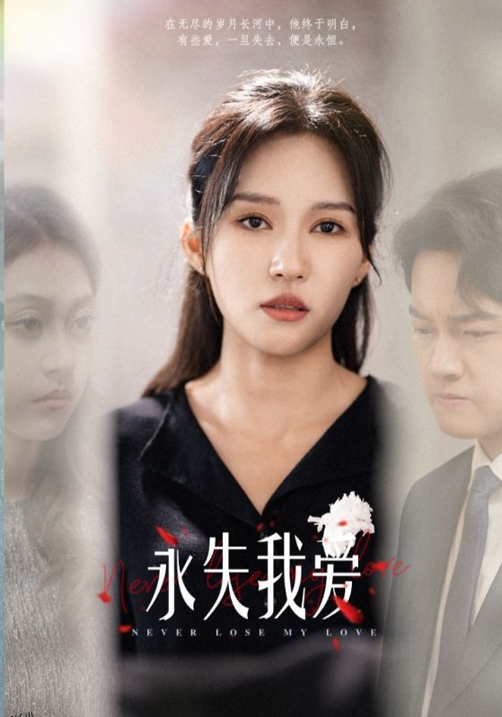 永失我爱 短剧版 高清海报