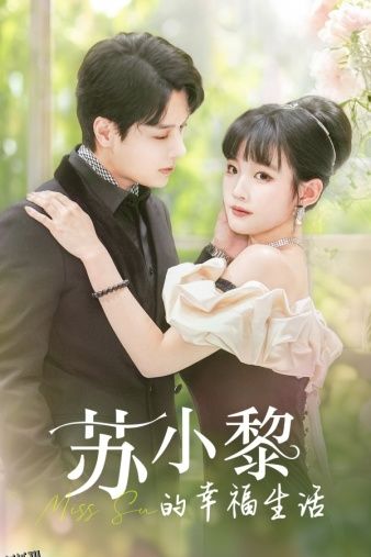 苏小黎的幸福生活 海报