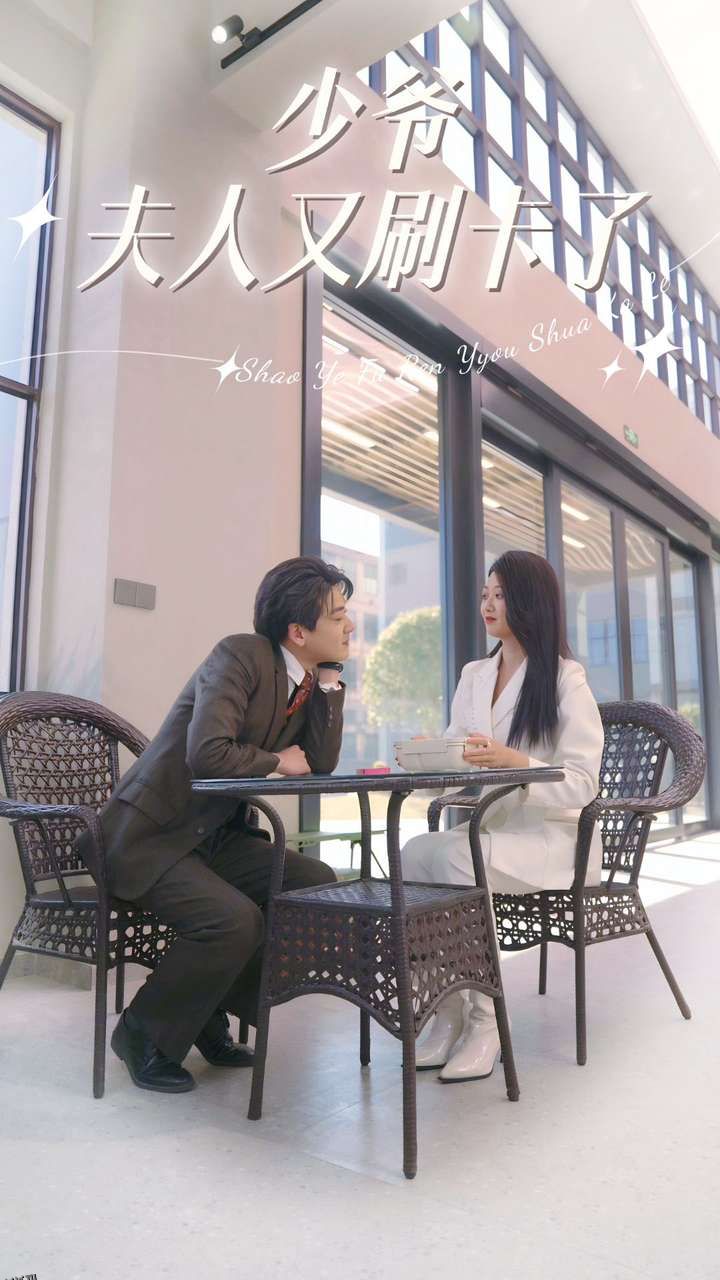 少爷夫人又刷卡了 海报