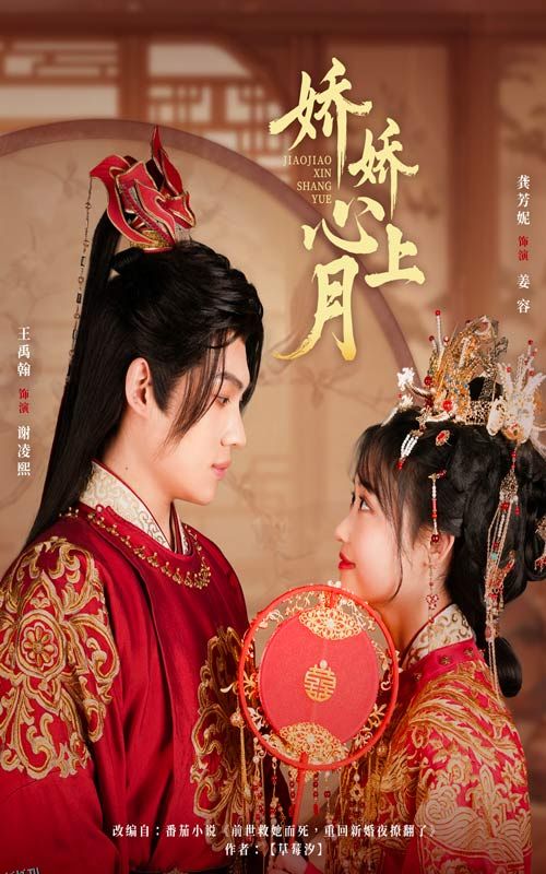 娇娇心上月 海报