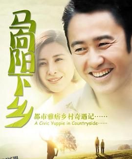 马向阳下乡记 海报
