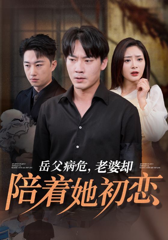 岳父病危老婆却陪着她初恋 海报
