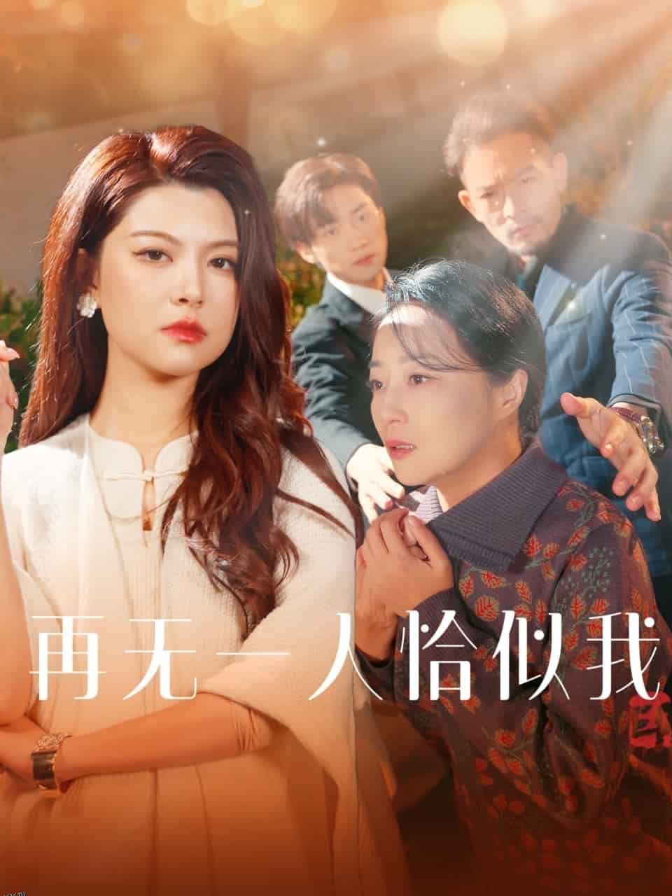 再无一人恰似我 海报