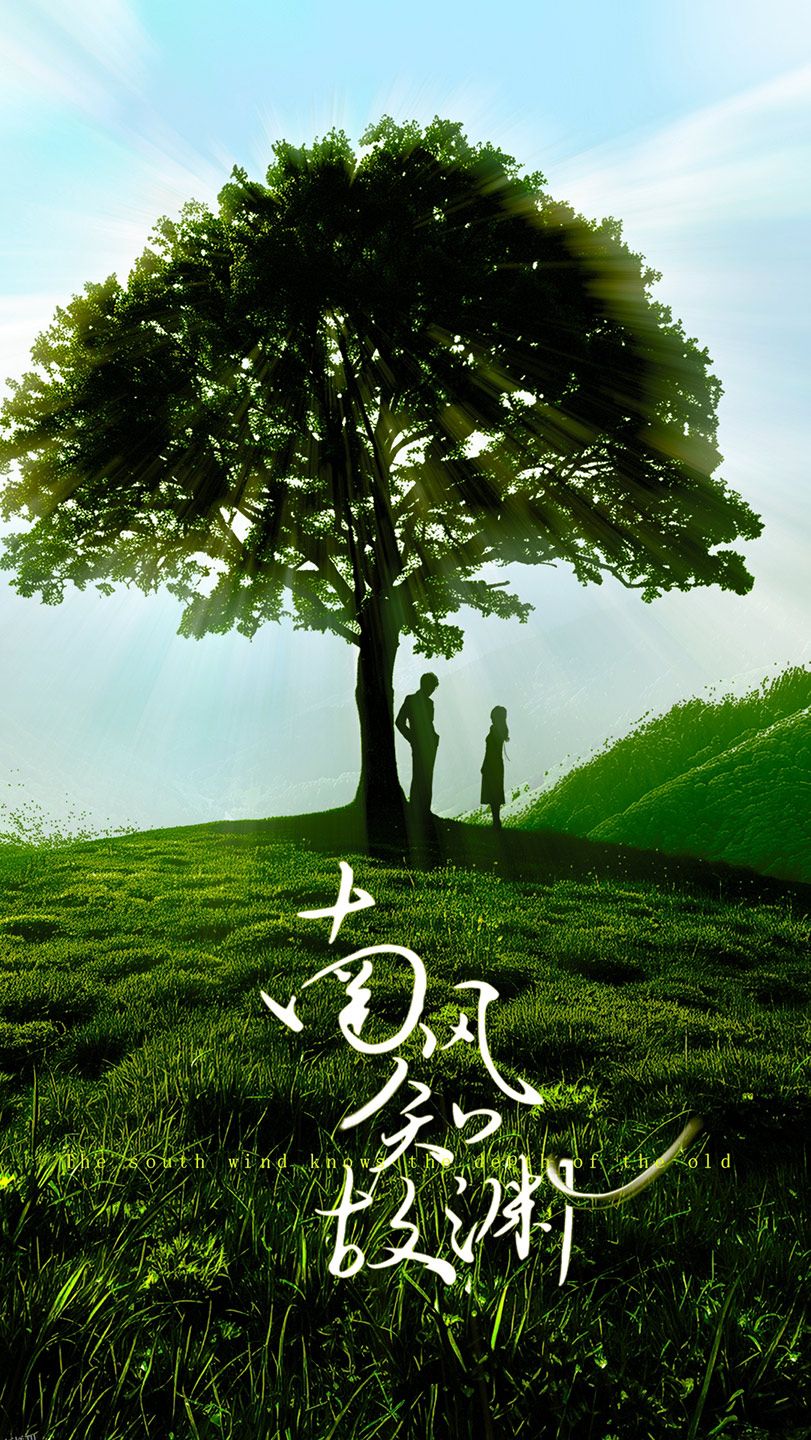 南风知故渊 海报