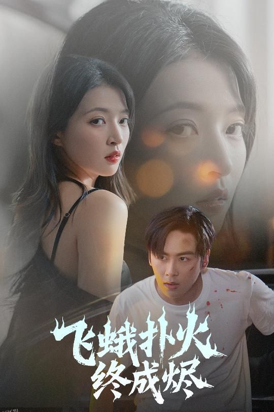 飞蛾扑火终成烬 海报