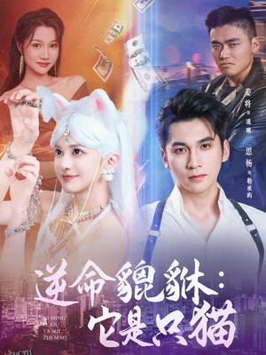 逆命貔貅它是只猫 海报