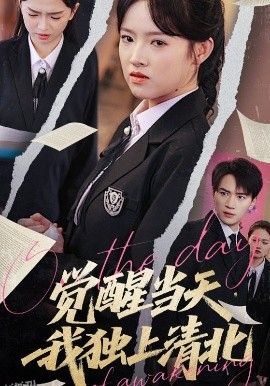 觉醒当天我独上清北 海报