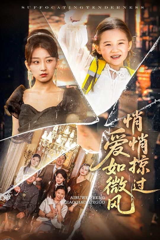 爱如微风悄悄掠过 海报