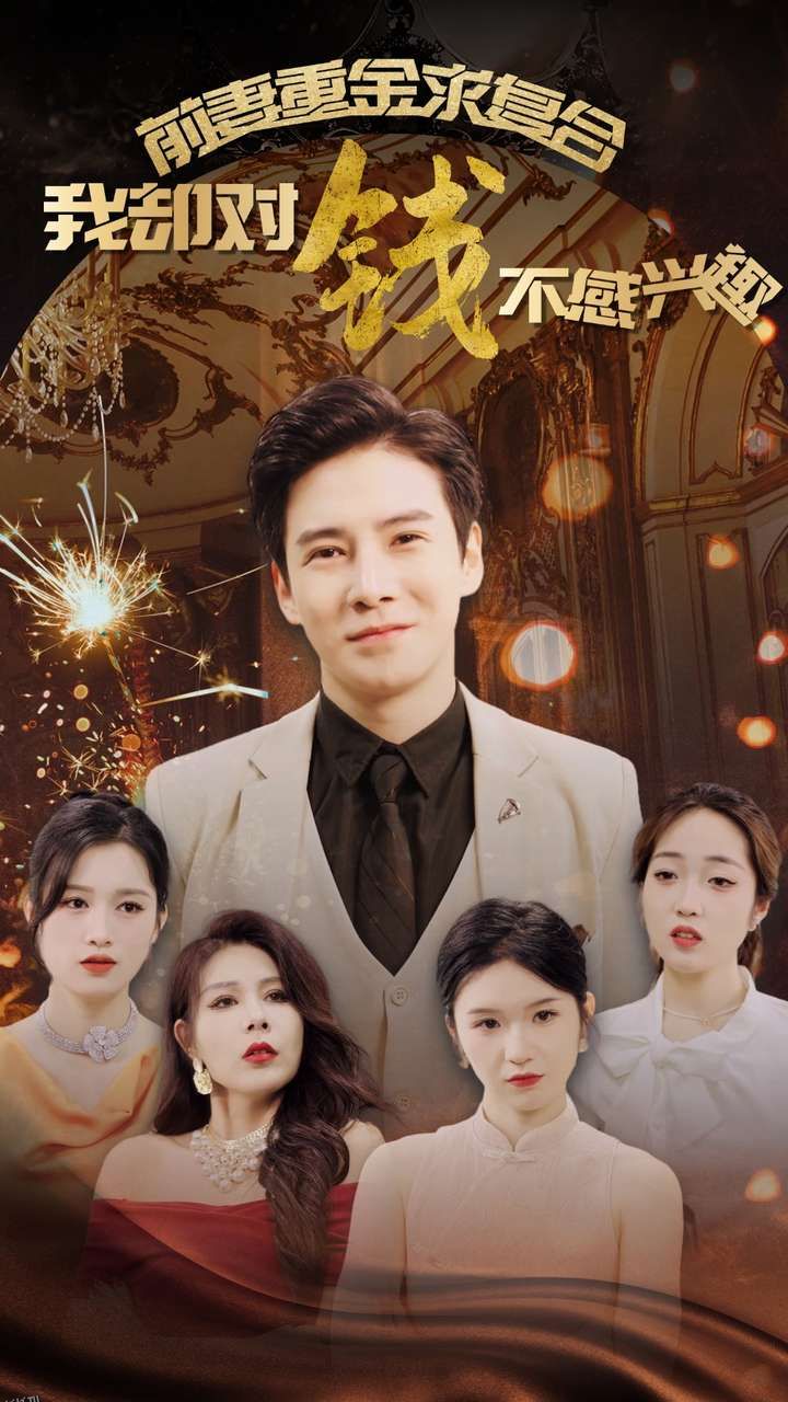 前妻重金求复合我却对钱不感兴趣 海报