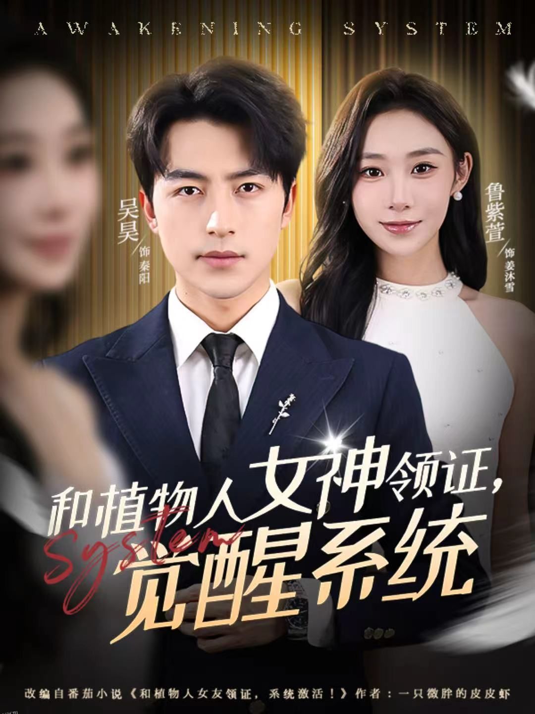 和植物人女神领证，觉醒系统 海报