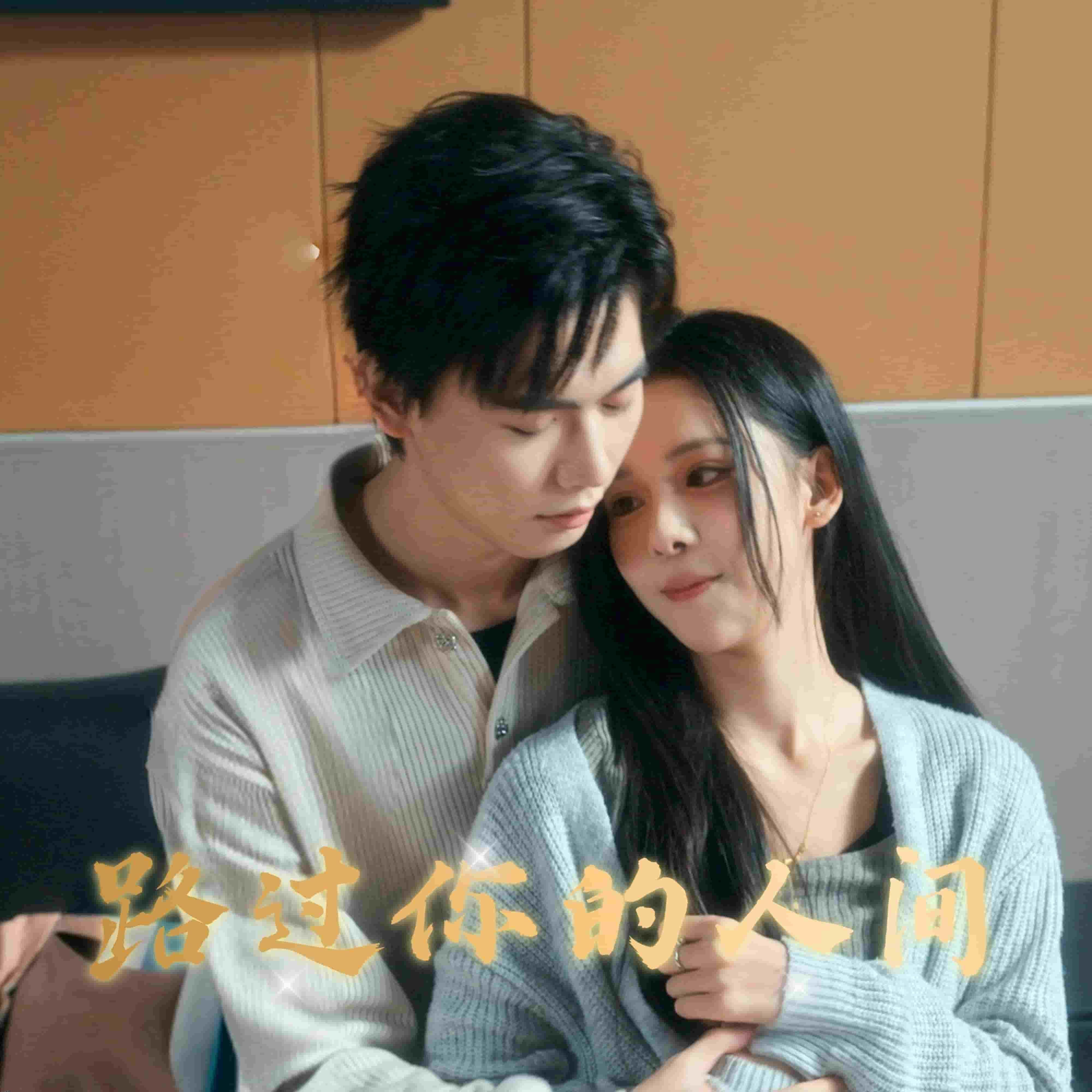 路过你的人间 海报