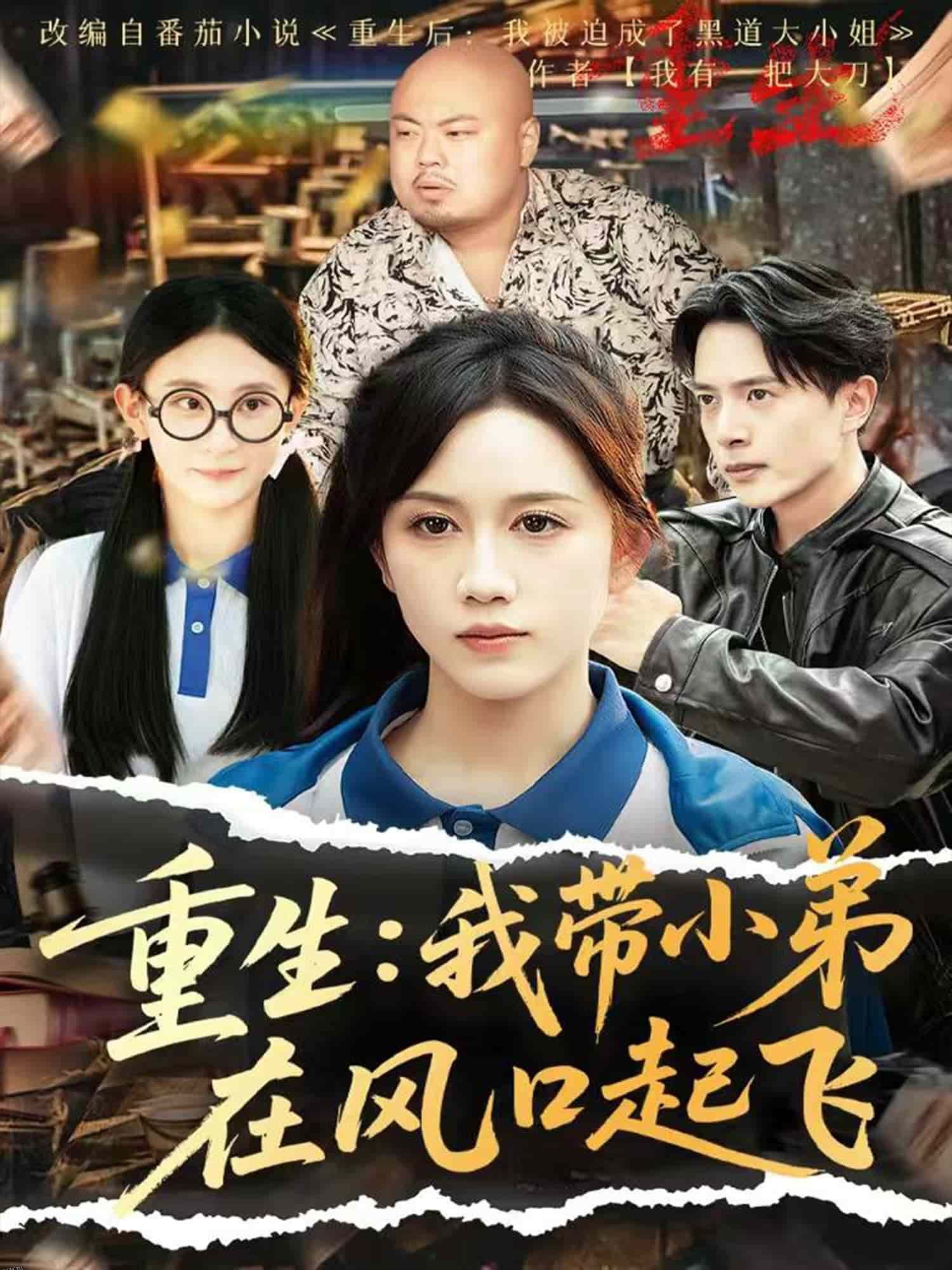 重生我带小弟在风口起飞 海报