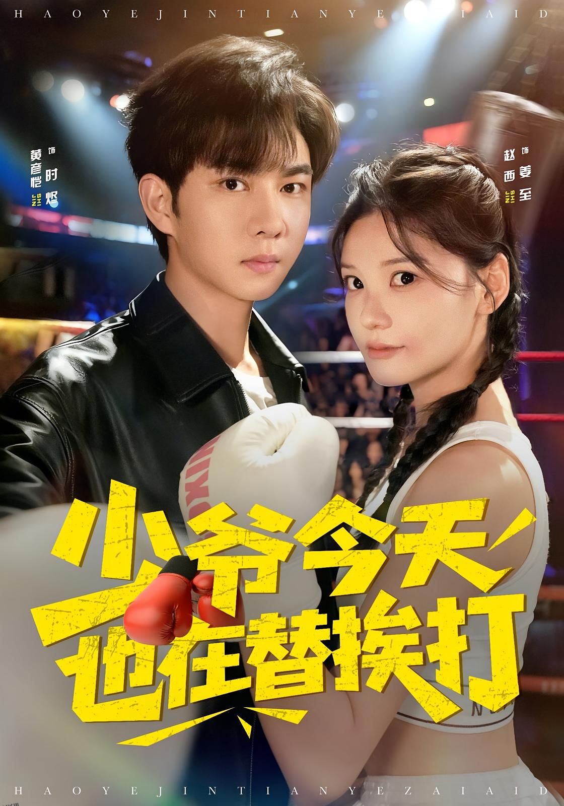 少爷今天也在替挨打 海报