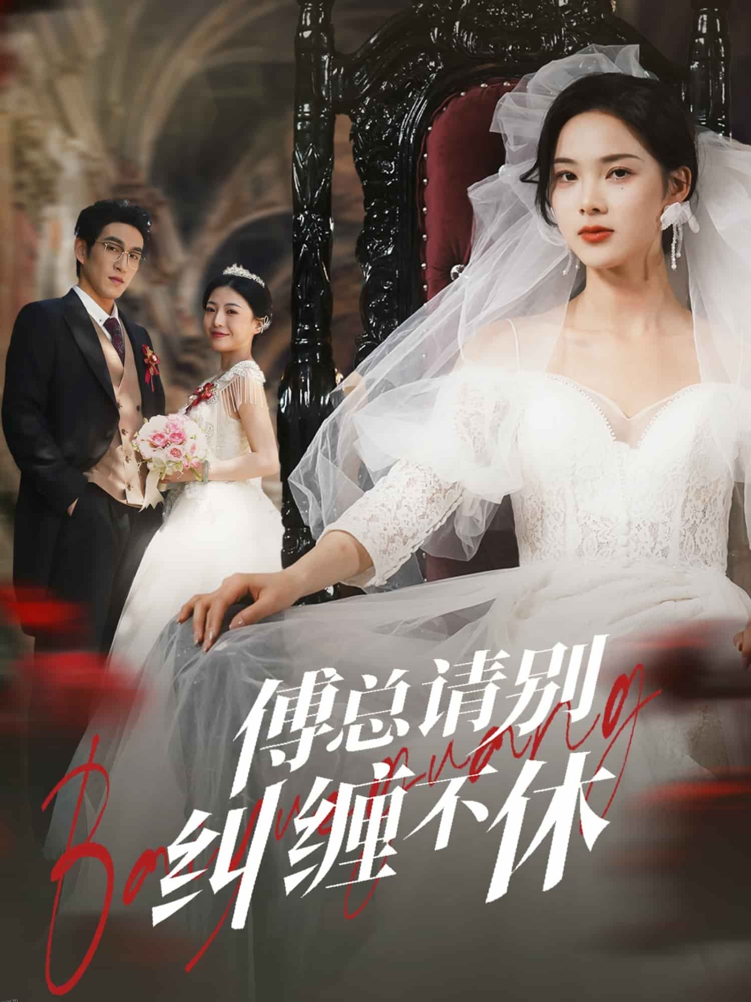 傅总请别纠缠不休 海报