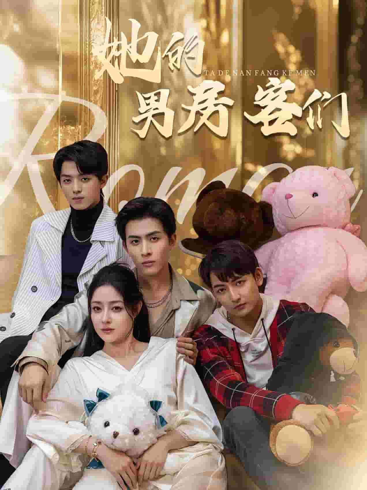 她的男房客们 海报