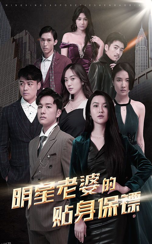 明星老婆的贴身保镖 海报