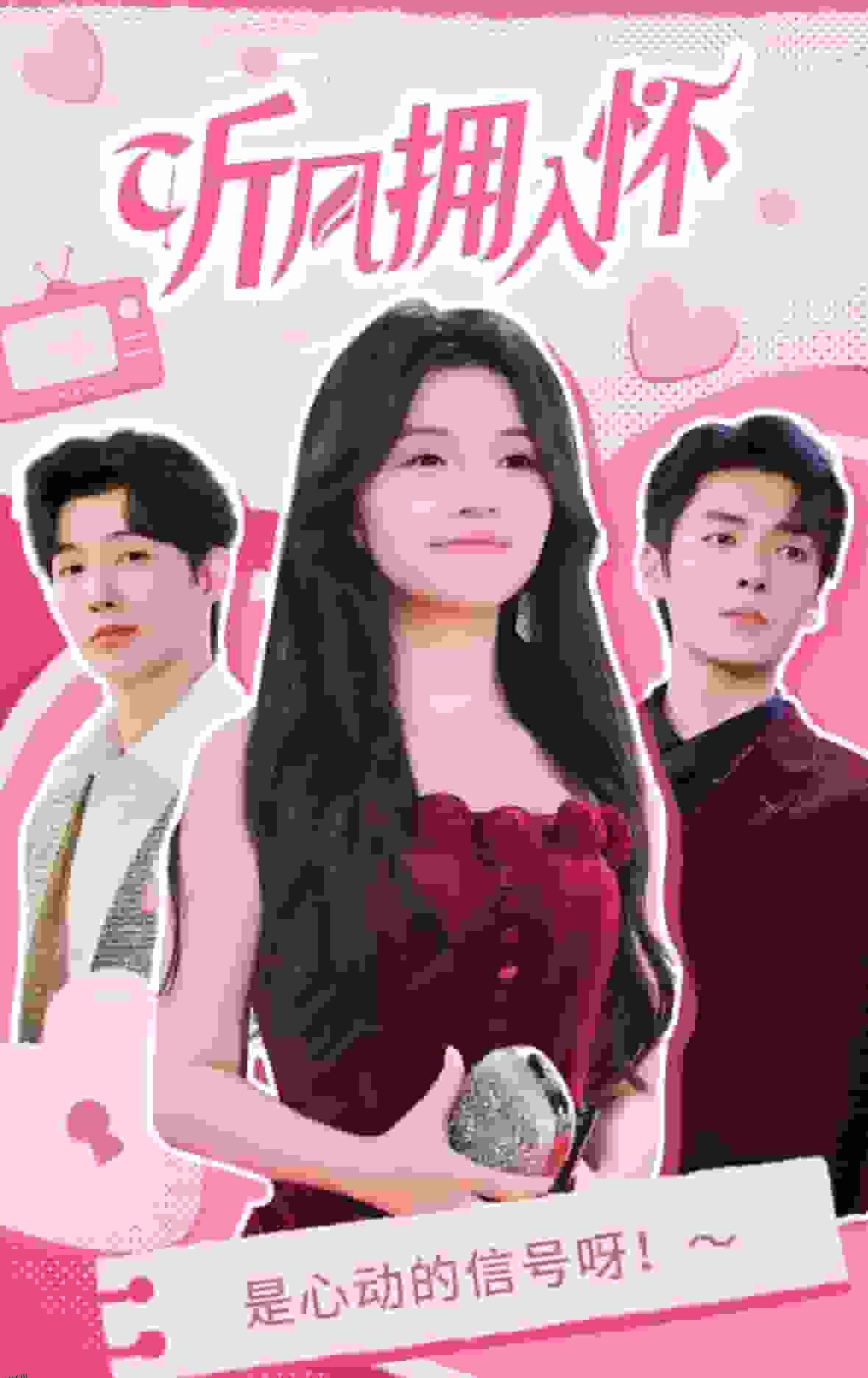 听风拥入怀 海报