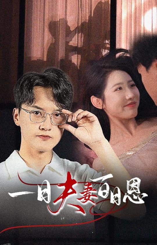 一日夫妻百日恩 海报