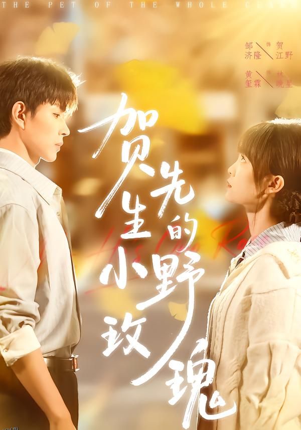 贺先生的小野玫瑰 海报