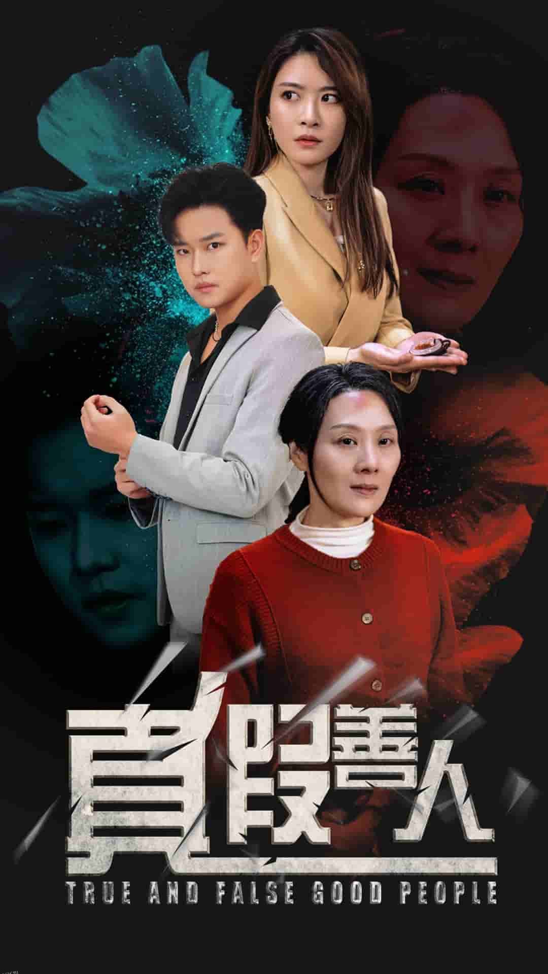 真假善人 高清海报