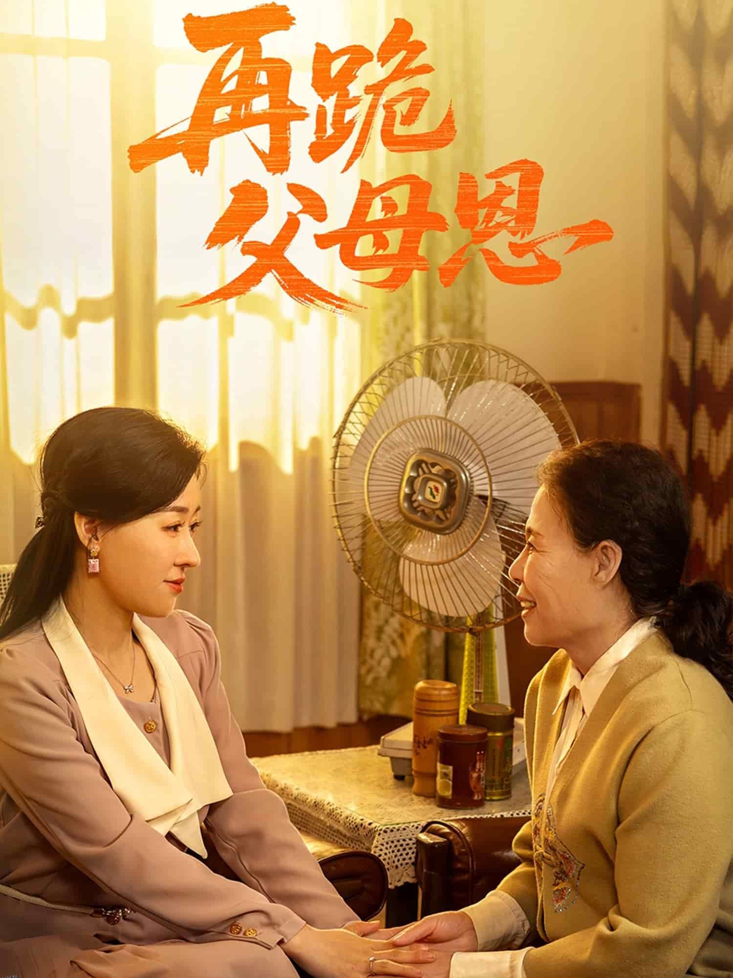 再跪父母恩 海报