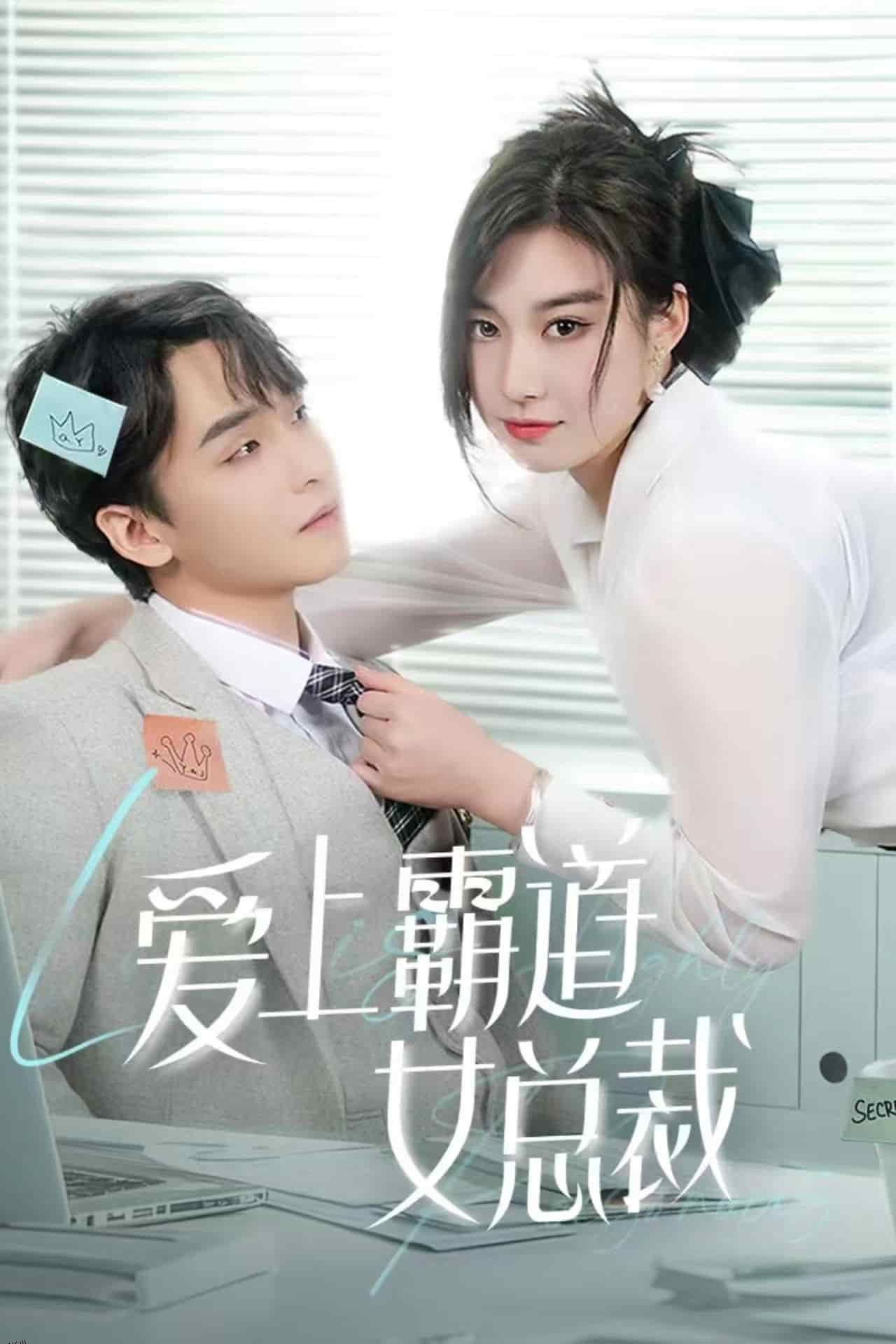 爱上霸道女总裁 海报