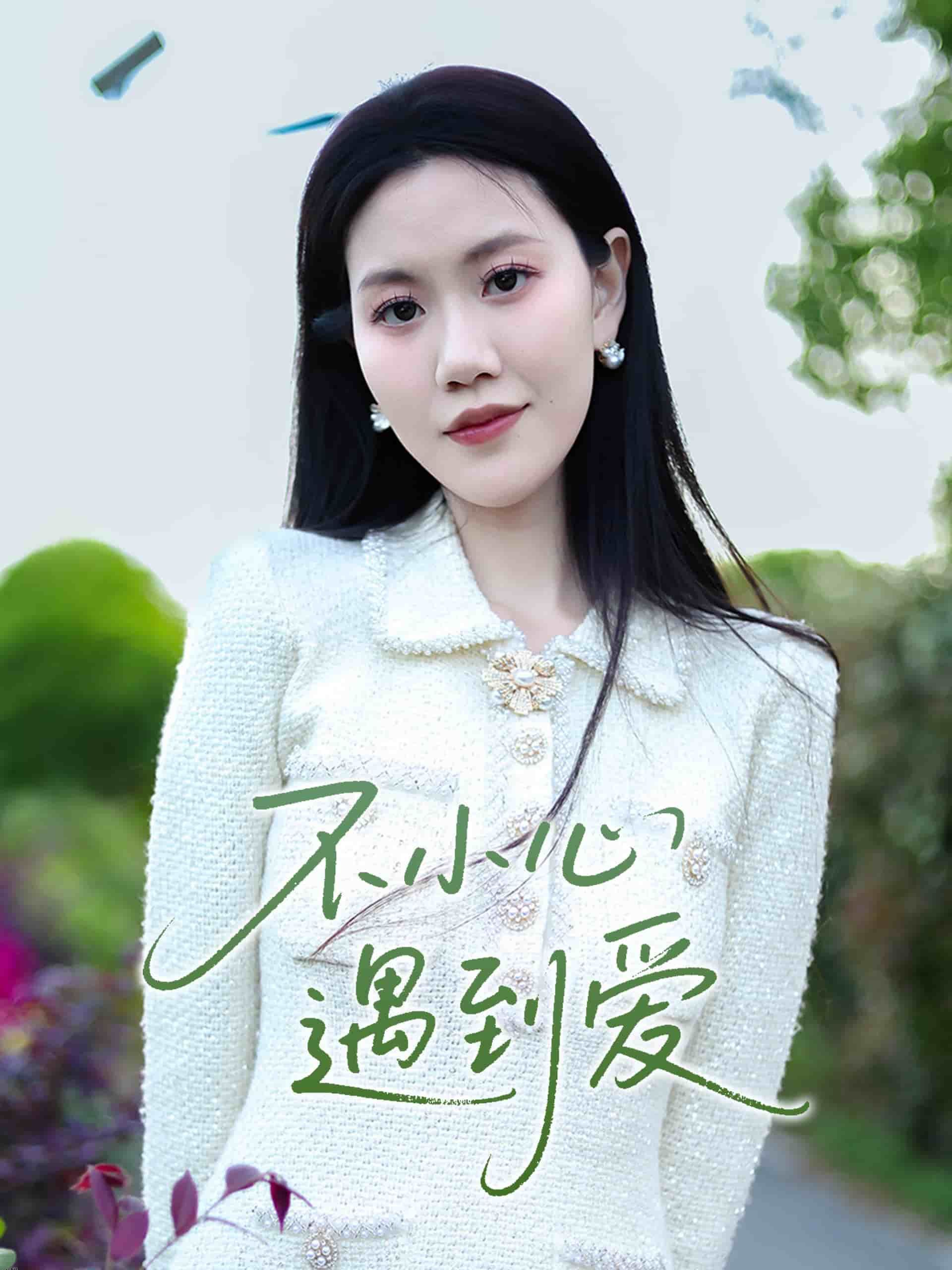 不小心遇到爱 海报