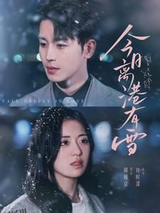 今日离港有雪 海报