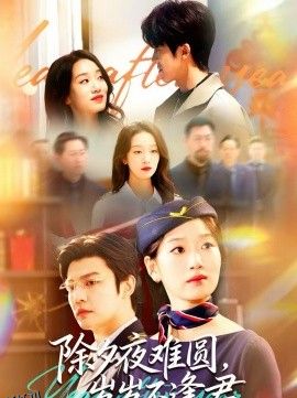 除夕夜难圆，岁岁不逢君 海报