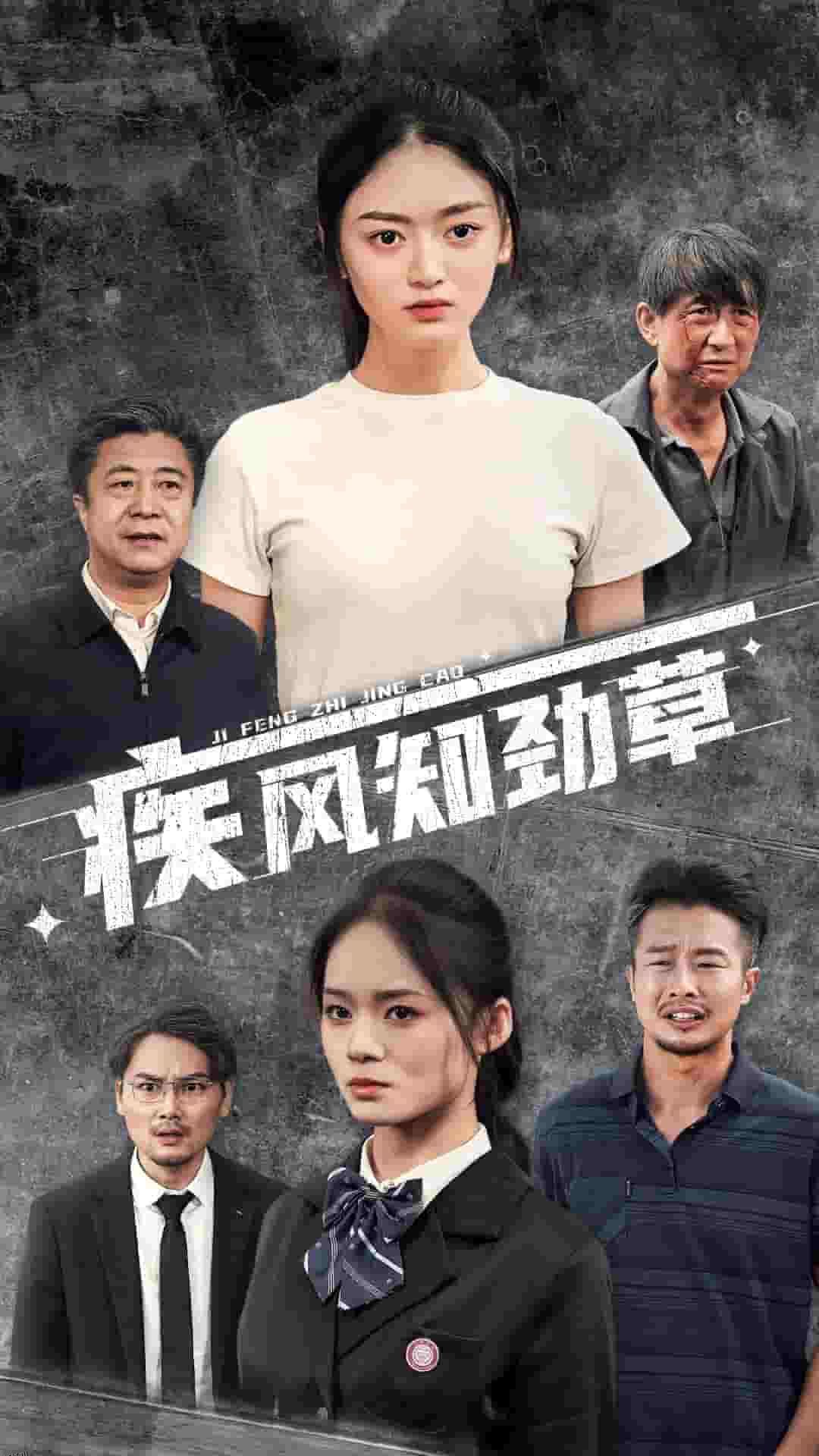 疾风知劲草 海报