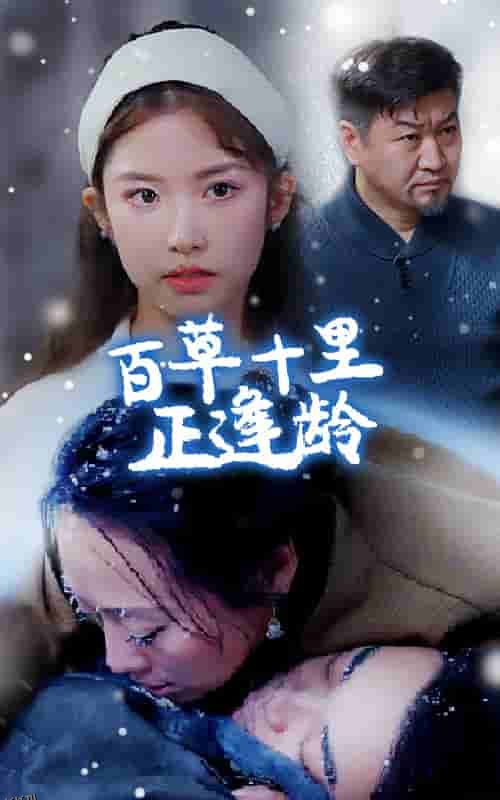 百草十里正逢龄 高清海报